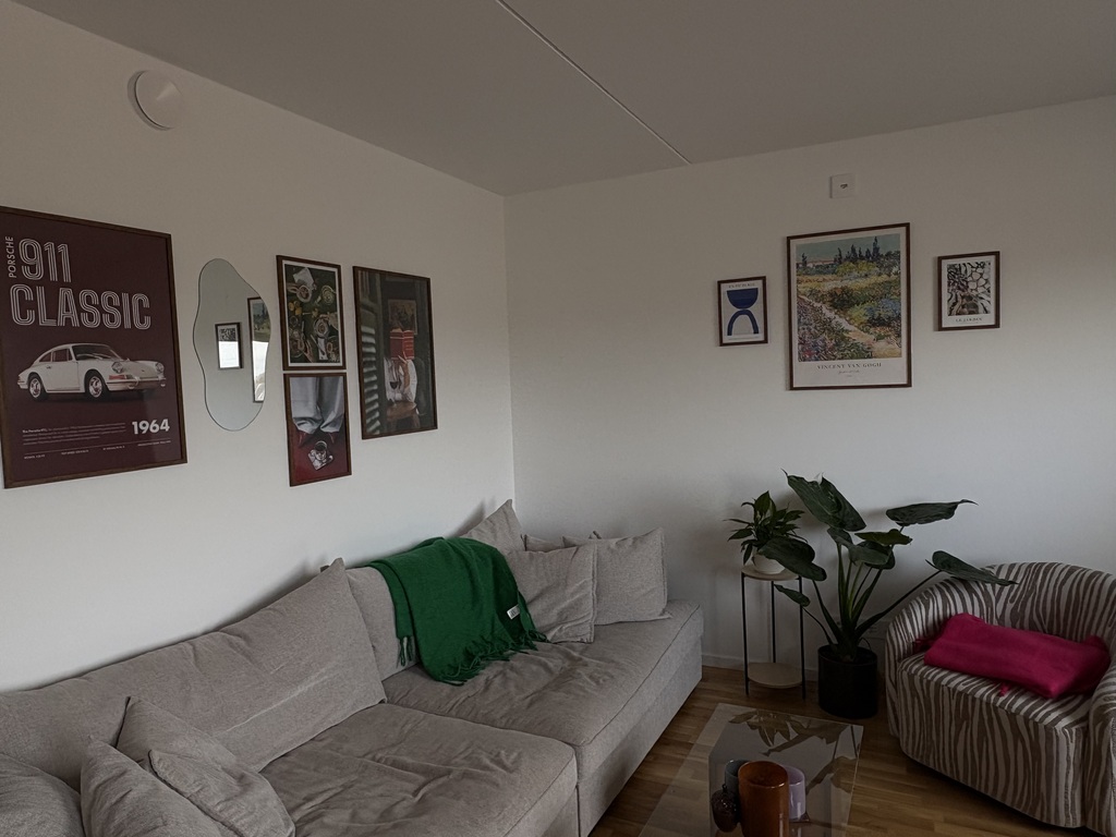 Review image 5