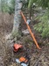Näytä kuva