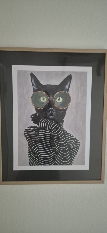 Ich liebe dieses Poster – die Katze ist so stilvoll! Auch die anderen Poster entsprechen genau meinem Geschmack. Sehr schneller Versand, absolut empfehlenswert! 😊